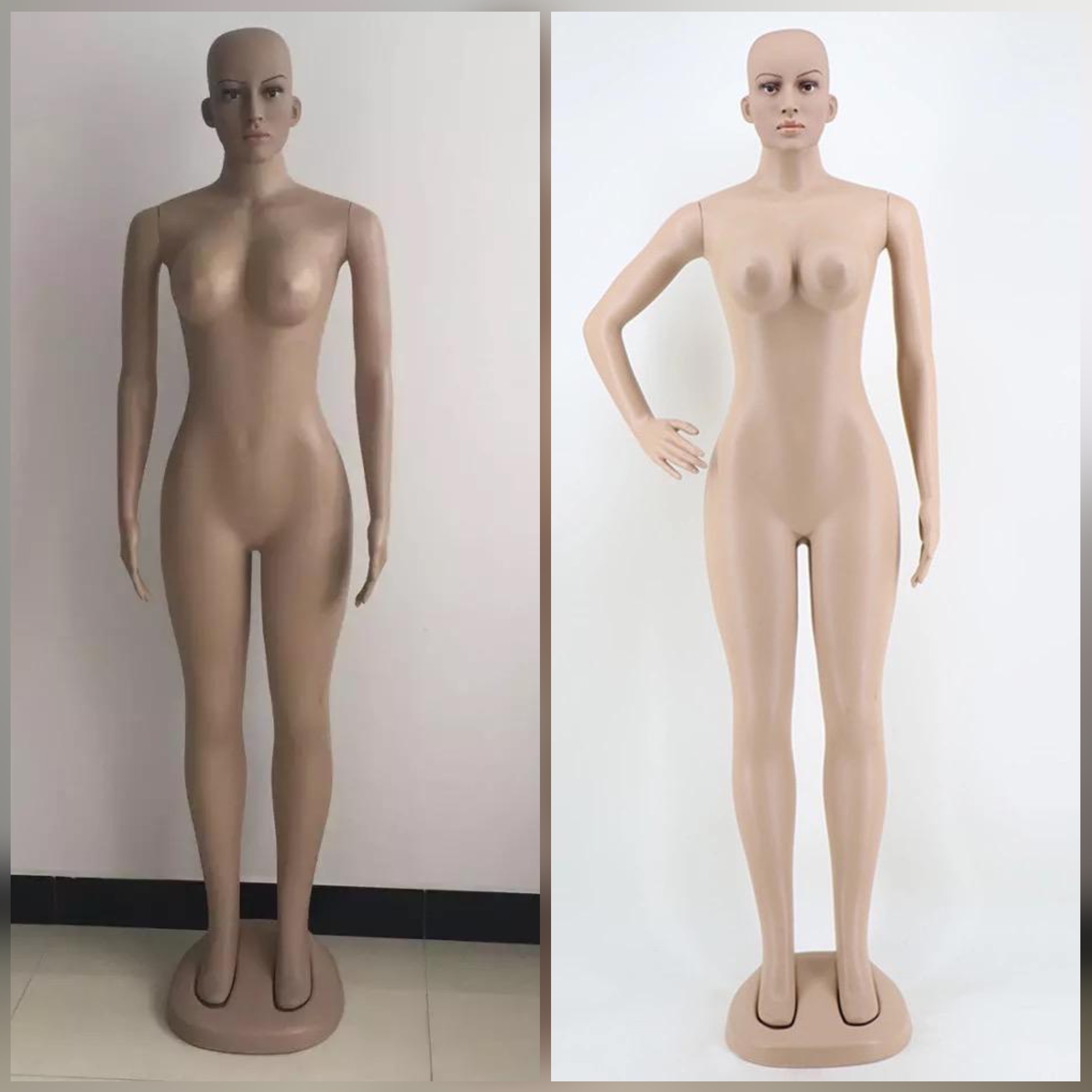Adanne Size 10 Bald Head FRP Unbreakable Plastic Non- Detachable Foreign Female Mannequin