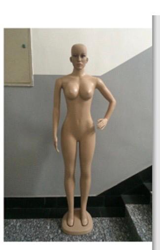 Adanne Size 10 Bald Head FRP Unbreakable Plastic Non- Detachable Foreign Female Mannequin Adanne Size 10 Bald Head FRP Unbreakable Plastic Non- Detachable Foreign Female Mannequin