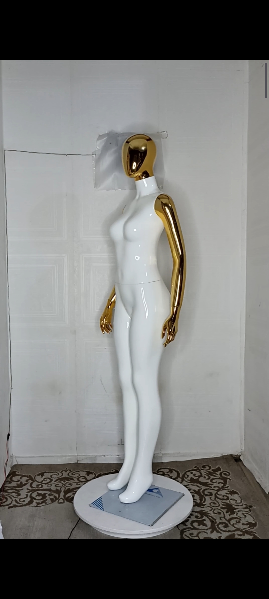 Female Mannequin-2 tones Colour-Full Fibreglass Size 10 Female Mannequin-2 tones Colour-Full Fibreglass Size 10