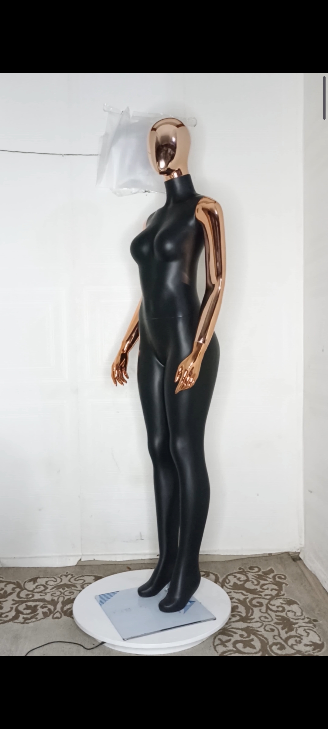 Female Mannequin-2 tones Colour-Full Fibreglass Size 10 Female Mannequin-2 tones Colour-Full Fibreglass Size 10