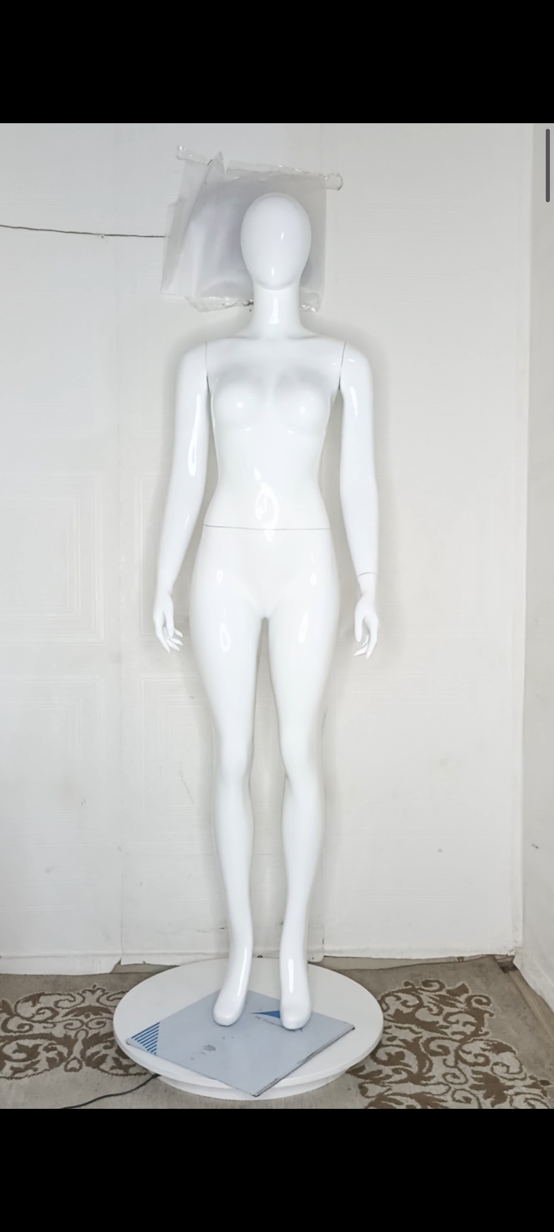 Female Mannequin-Full Plain Colour-Full Fibreglass Size 10 Female Mannequin-Full Plain Colour-Full Fibreglass Size 10