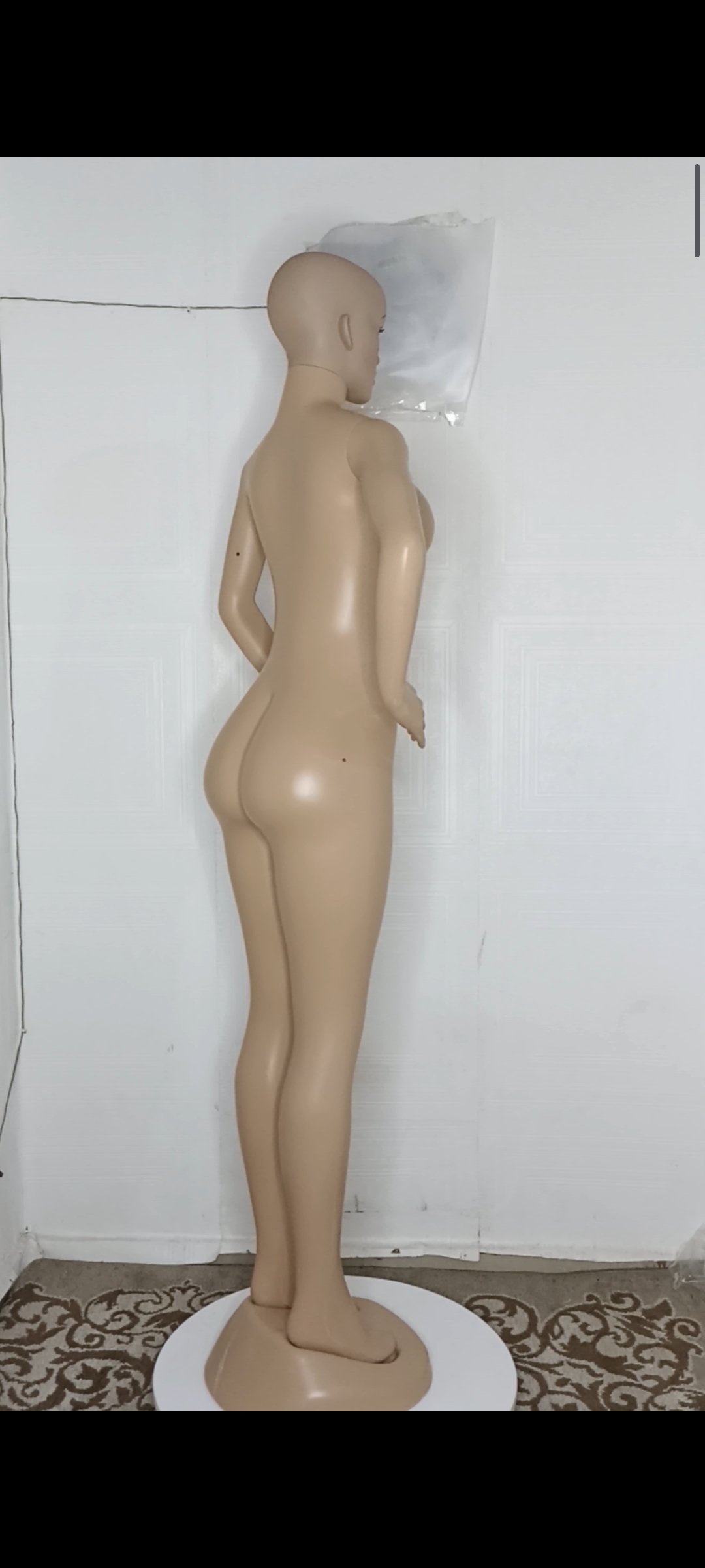 Adanne Size 10 Bald Head FRP Unbreakable Plastic Non- Detachable Foreign Female Mannequin Adanne Size 10 Bald Head FRP Unbreakable Plastic Non- Detachable Foreign Female Mannequin