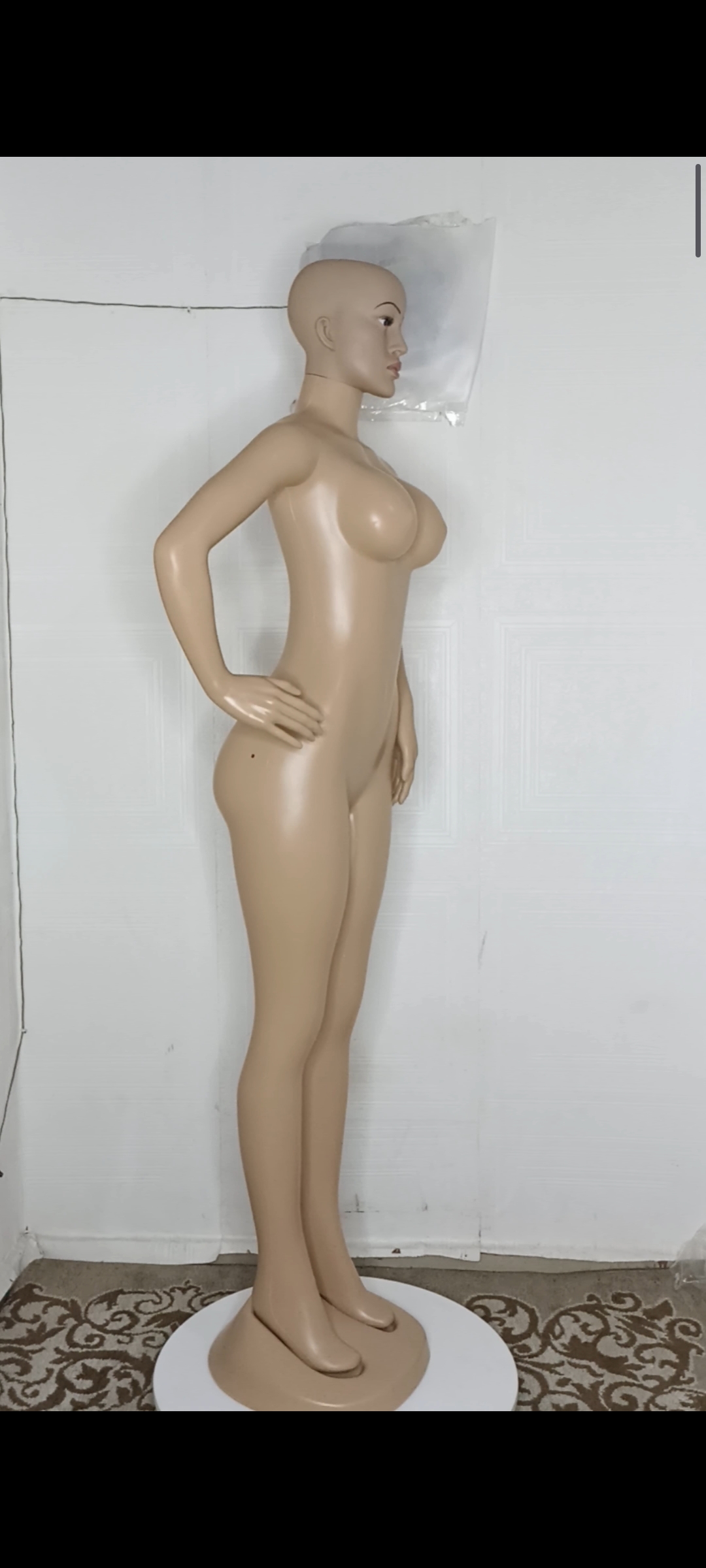 Adanne Size 10 Bald Head FRP Unbreakable Plastic Non- Detachable Foreign Female Mannequin Adanne Size 10 Bald Head FRP Unbreakable Plastic Non- Detachable Foreign Female Mannequin